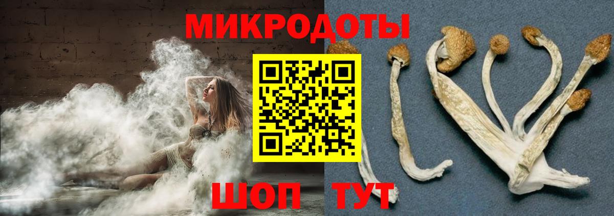 Псилоцибиновые грибы Cubensis  даркнет сайт  Курчалой  Вход с VPN 