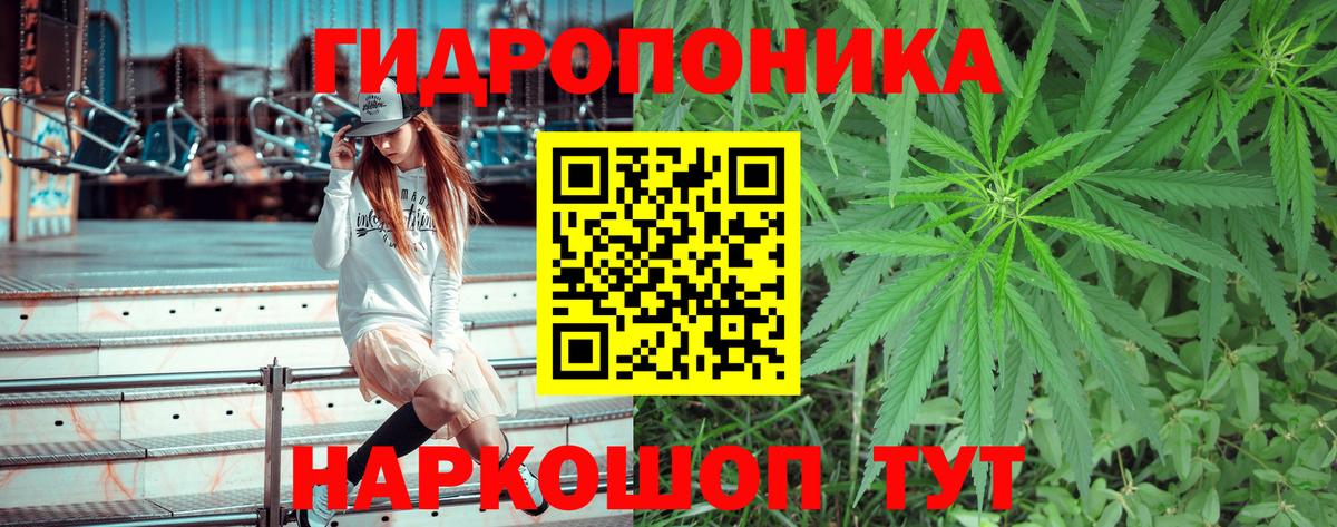 МАРИХУАНА SATIVA & INDICA Курчалой